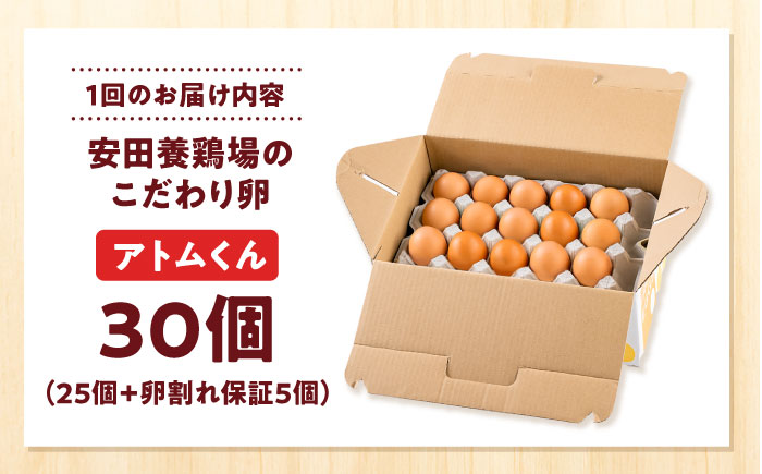 【全3回定期便】安田養鶏場の卵 アトムくん 30個入り 横須賀市 産地直送 割れ保証付き たまご 黄身 濃厚 卵 玉子 タマゴ 鶏卵 【安田養鶏場】 [AKHN009]