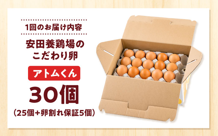 【全6回定期便】安田養鶏場の卵 アトムくん 30個入り 横須賀市 産地直送 割れ保証付き たまご 黄身 濃厚 卵 玉子 タマゴ 鶏卵 【安田養鶏場】 [AKHN010]