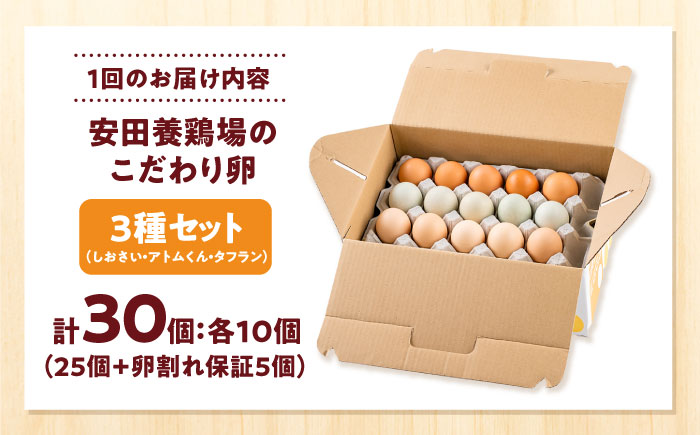 【全3回定期便】安田養鶏場の卵 3種セット しおさい アトムくん タフラン 30個入り（各10個入り） 横須賀市 産地直送 割れ保証付き たまご 黄身 濃厚 卵 玉子 タマゴ 鶏卵 【安田養鶏場】 [AKHN011]