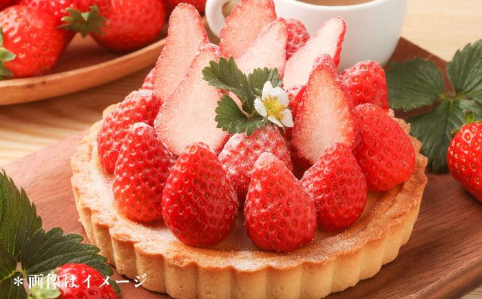 【先行予約】【数量限定100セット】　いちご　1パック 約450g　【いちごはうす西脇】 [AKHO001]