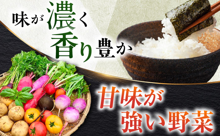 【全6回定期便】横須賀 豪華！グルメ定期便 [AKZZ017]