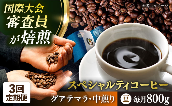 【全3回定期便】コーヒー豆 自家焙煎 中煎り グアテマラ 200g×4 TSUKIKOYA COFFEE ROASTER ツキコヤ【株式会社RUINS】 [AKAD013]