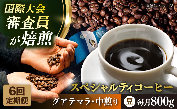 【全6回定期便】コーヒー豆 自家焙煎 中煎り グアテマラ 200g×4 TSUKIKOYA COFFEE ROASTER ツキコヤ【株式会社RUINS】 [AKAD014]