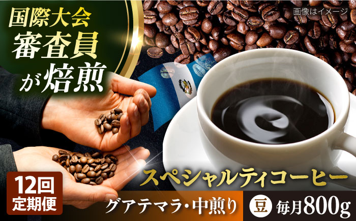 【全12回定期便】コーヒー豆 自家焙煎 中煎り グアテマラ 200g×4 TSUKIKOYA COFFEE ROASTER ツキコヤ【株式会社RUINS】 [AKAD015]