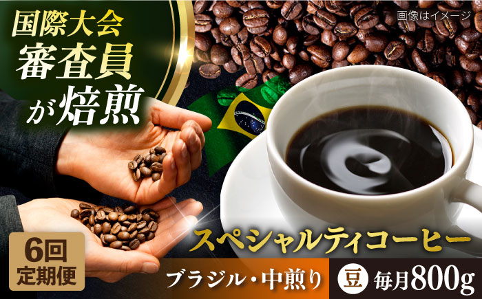 【全6回定期便】コーヒー豆 自家焙煎 中煎り ブラジル 200g×4 TSUKIKOYA COFFEE ROASTER ツキコヤ【株式会社RUINS】 [AKAD026]