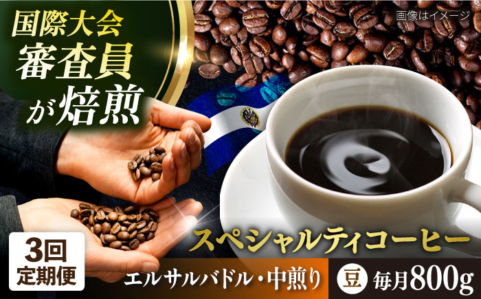 【全3回定期便】コーヒー豆 自家焙煎 中煎り エルサルバドル 200g×4 TSUKIKOYA COFFEE ROASTER ツキコヤ【株式会社RUINS】 [AKAD028]