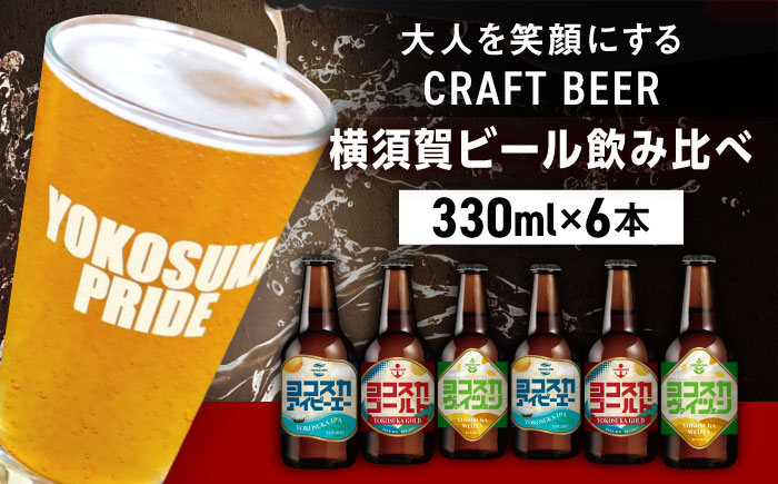 飲み比べ ビール 3種　6本セット （330ml瓶×6本）クラフトビール 【有限会社たのし屋本舗】 [AKAE047]
