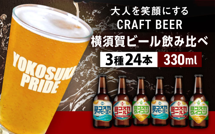 飲み比べ ビール 3種　24本セット （330ml瓶×24本）クラフトビール 【有限会社たのし屋本舗】 [AKAE049]