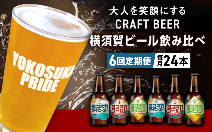 【全6回定期便】飲み比べ ビール 3種　24本セット （330ml瓶×計144本）クラフトビール 【有限会社たのし屋本舗】 [AKAE057]