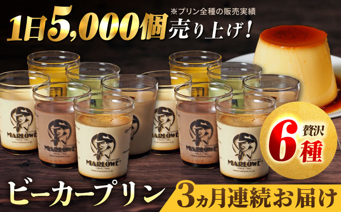 【全3回定期便】葉山ビーカープリン パーティーアソート セット 6種×2個 詰め合わせ（カスタード・かぼちゃ・抹茶・北海道フレッシュクリーム・エスプレッソ・チョコレート）【マーロウ】 [AKAF047]