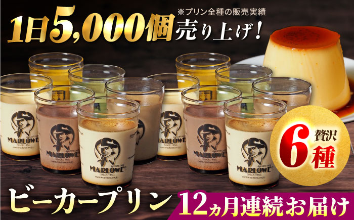 【全12回定期便】葉山ビーカープリン パーティーアソート セット 6種×2個 詰め合わせ（カスタード・かぼちゃ・抹茶・北海道フレッシュクリーム・エスプレッソ・チョコレート）【マーロウ】 [AKAF049]