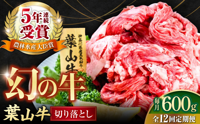 【全12回定期便】葉山牛 切り落とし300g×2パック 計600g【株式会社羽根】 [AKAG029]