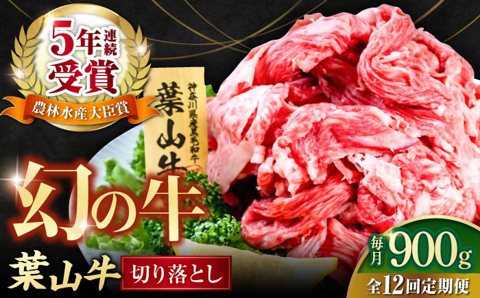 【全12回定期便】葉山牛 切り落とし300g×3パック 計900g【株式会社羽根】 [AKAG032]