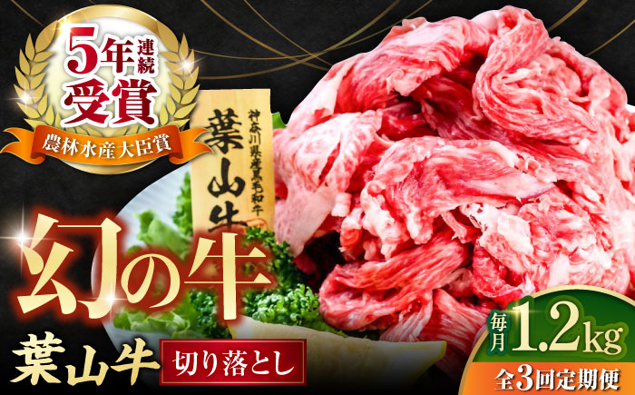【全3回定期便】葉山牛 切り落とし300g×4パック 計1.2kg【株式会社羽根】 [AKAG033]