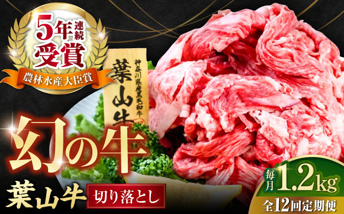 【全12回定期便】葉山牛 切り落とし300g×4パック 計1.2kg【株式会社羽根】 [AKAG035]
