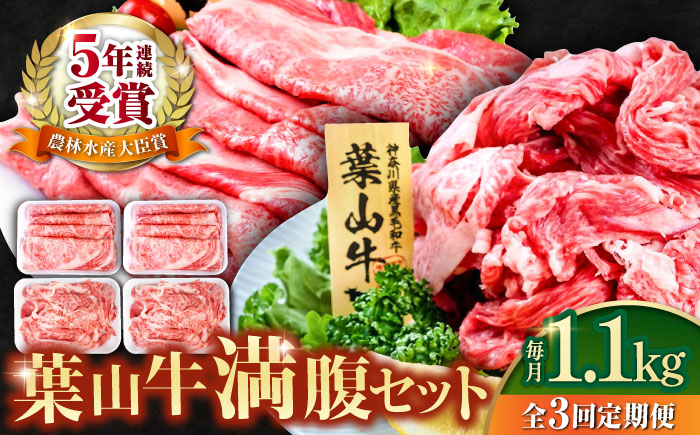 【全3回定期便】葉山牛満腹セット（肩ロースすき焼用250g×2＋切落し300g×2）計1.1kg【株式会社羽根】 [AKAG042]
