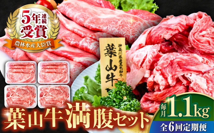 【全6回定期便】葉山牛満腹セット（肩ロースすき焼用250g×2＋切落し300g×2）計1.1kg【株式会社羽根】 [AKAG043]