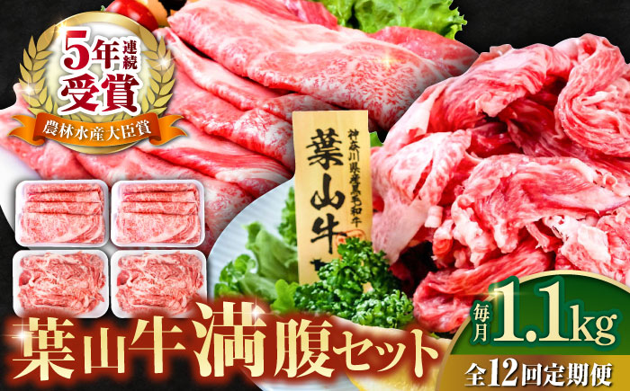 【全12回定期便】葉山牛満腹セット（肩ロースすき焼用250g×2＋切落し300g×2）計1.1kg【株式会社羽根】 [AKAG044]