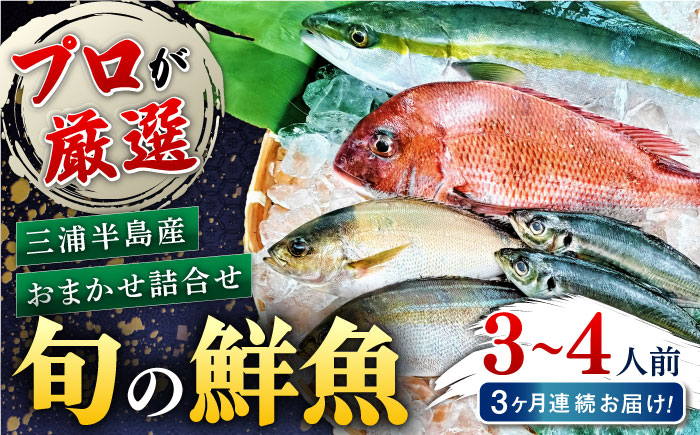 【全3回定期便】旬のおまかせ 厳選鮮魚セット 3～4人前(2～3魚種) 【長井水産株式会社】 [AKAJ015]