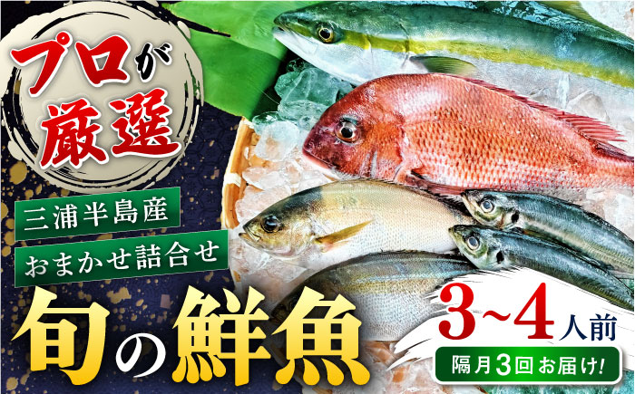 【全3回 隔月 定期便】旬のおまかせ 厳選鮮魚セット 3～4人前(2～3魚種) 【長井水産株式会社】 [AKAJ017]