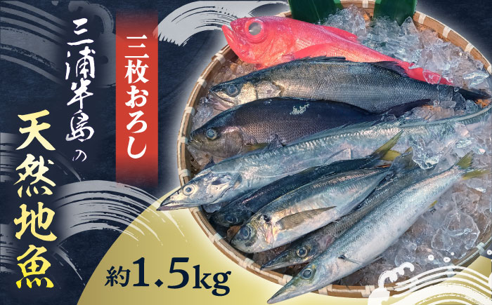 お刺身用 三浦半島の天然地魚 三枚おろし 約1.5kg 刺身 魚 処理済み 下処理済み 三枚おろし　【長井水産株式会社】 [AKAJ028]