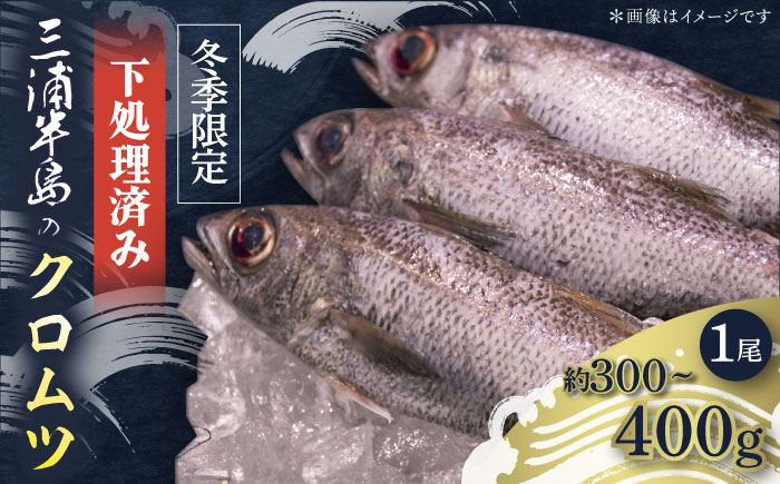【先行予約】【冬季限定】下ごしらえ済 クロムツ 約300～400g　1尾 鮮魚 処理済み 下処理済み【長井水産株式会社】 [AKAJ030]