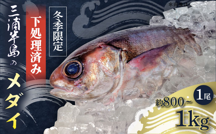 【先行予約】【冬季限定】下ごしらえ済 メダイ 約800g～1kg 鮮魚 処理済み 下処理済み 【長井水産株式会社】 [AKAJ031]