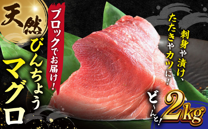 天然 まぐろ 冷凍ぶっこみブロック約2kg【横須賀商工会議所 おもてなしギフト事務局（本まぐろ直売所 横須賀本店）】 [AKAK001]