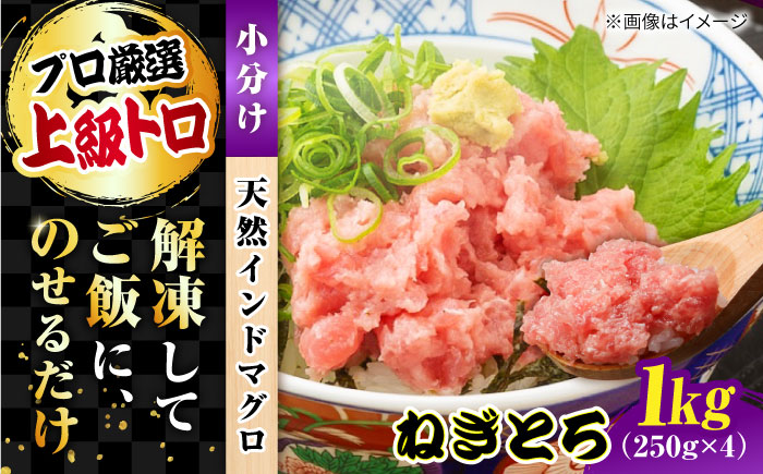 天然 まぐろ ねぎとろ 約1kg（約250g×4パック）【横須賀商工会議所 おもてなしギフト事務局（本まぐろ直売所 横須賀本店）】[AKAK008]