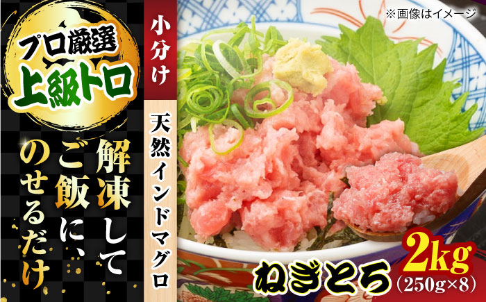 天然 まぐろ ねぎとろ 約2kg（約250g×8パック）【横須賀商工会議所 おもてなしギフト事務局（本まぐろ直売所 横須賀本店）】[AKAK009]