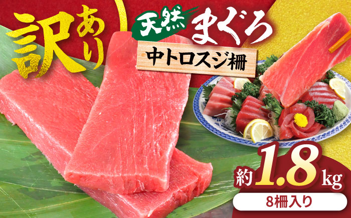 【年内発送の受付は12月24日まで！】【訳あり】天然 本まぐろ 中トロ 計約1.8kg (8柵入り) 年内発送 【横須賀商工会議所 おもてなしギフト事務局（本まぐろ直売所 横須賀本店）】[AKAK017]