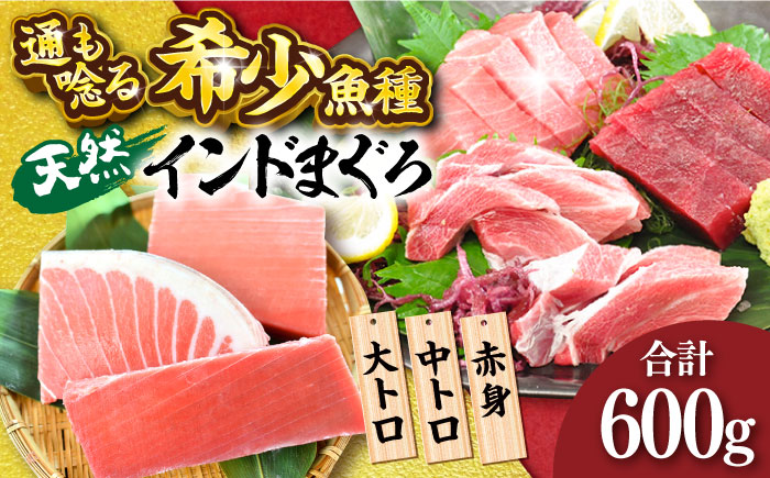 天然 まぐろ 大トロ・中トロ・赤身（約200ｇ×3柵）約600ｇ【横須賀商工会議所 おもてなしギフト事務局（本まぐろ直売所 横須賀本店）】[AKAK020]