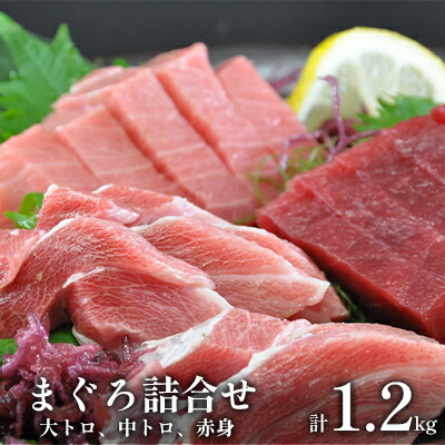 マグロ 刺身 食べ比べ 三昧 セット（赤身 大トロ 中とろ）【横須賀商工会議所 おもてなしギフト事務局（本まぐろ直売所 横須賀本店）】[AKAK022]