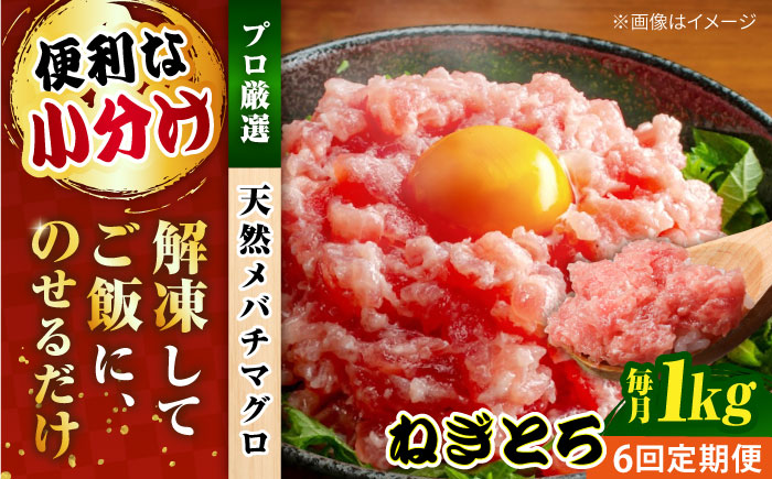 【全6回定期便】まぐろ ねぎとろ 約1kg（約250g×4パック）【横須賀商工会議所 おもてなしギフト事務局（本まぐろ直売所 横須賀本店）】 [AKAK036]