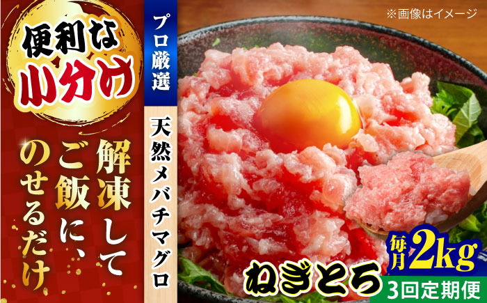 【全3回定期便】まぐろ ねぎとろ 約2kg（約250g×8パック）【横須賀商工会議所 おもてなしギフト事務局（本まぐろ直売所 横須賀本店）】 [AKAK038]