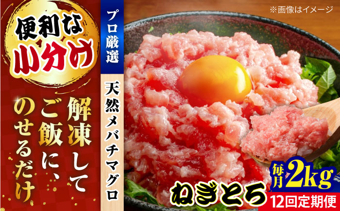 【全12回定期便】まぐろ ねぎとろ 約2kg（約250g×8パック）【横須賀商工会議所 おもてなしギフト事務局（本まぐろ直売所 横須賀本店）】 [AKAK040]
