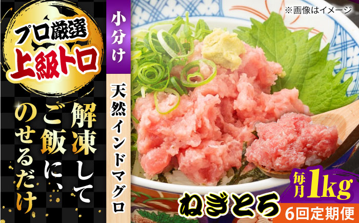 【全6回定期便】天然 まぐろ ねぎとろ 約1kg（約250g×4パック）【横須賀商工会議所 おもてなしギフト事務局（本まぐろ直売所 横須賀本店）】 [AKAK045]