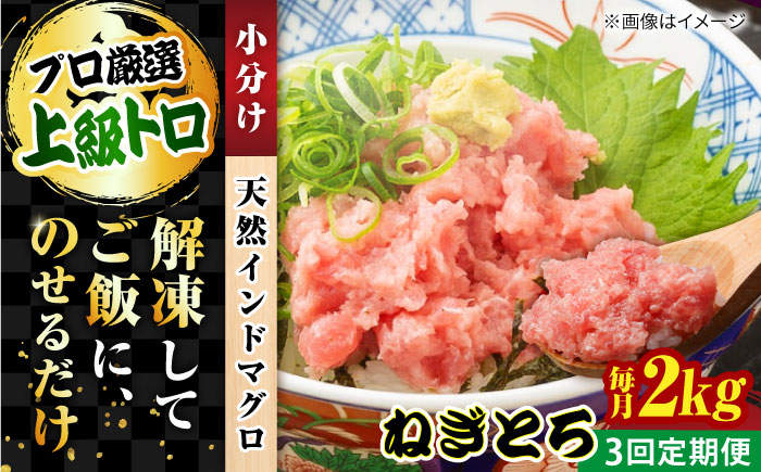 【全3回定期便】天然 まぐろ ねぎとろ 約2kg（約250g×8パック）【横須賀商工会議所 おもてなしギフト事務局（本まぐろ直売所 横須賀本店）】 [AKAK047]