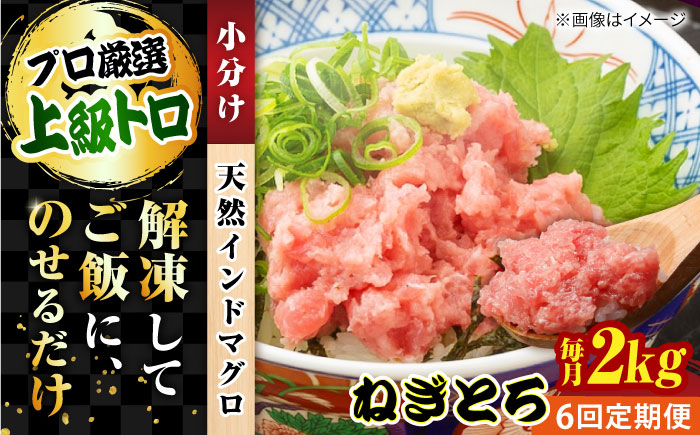 【全6回定期便】天然 まぐろ ねぎとろ 約2kg（約250g×8パック）【横須賀商工会議所 おもてなしギフト事務局（本まぐろ直売所 横須賀本店）】 [AKAK048]