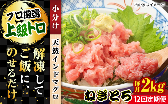 【全12回定期便】天然 まぐろ ねぎとろ 約2kg（約250g×8パック）【横須賀商工会議所 おもてなしギフト事務局（本まぐろ直売所 横須賀本店）】 [AKAK049]