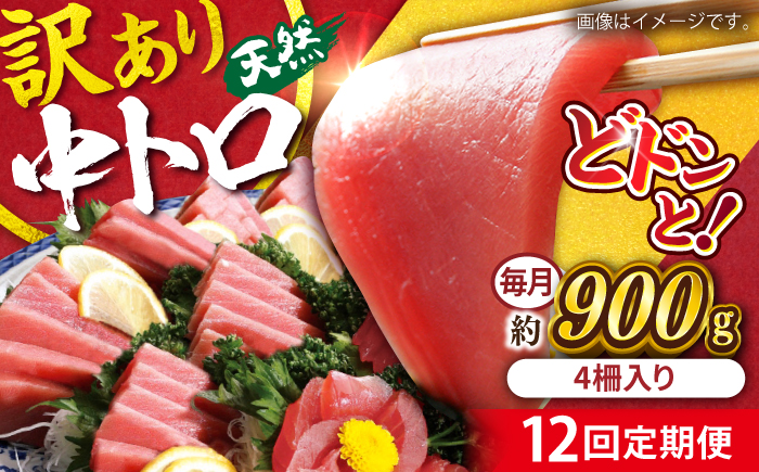 【全12回定期便】【訳あり】天然 まぐろ 中トロ メバチ 計約900g (4柵入り) 【横須賀商工会議所 おもてなしギフト事務局（本まぐろ直売所 横須賀本店）】 [AKAK052]