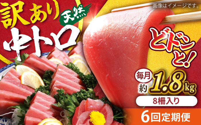 【全6回定期便】【訳あり】天然 まぐろ 中トロ メバチ 計約1.8kg (8柵入り) 【横須賀商工会議所 おもてなしギフト事務局（本まぐろ直売所 横須賀本店）】 [AKAK054]