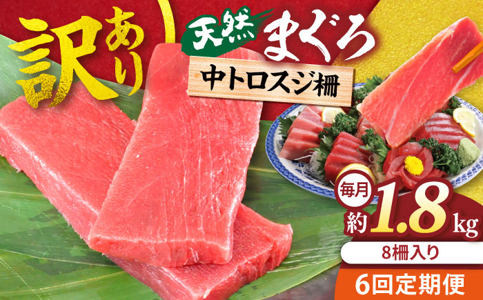 【全6回定期便】【訳あり】天然 本まぐろ 中トロ 計約1.8kg (8柵入り) 【横須賀商工会議所 おもてなしギフト事務局（本まぐろ直売所 横須賀本店）】 [AKAK072]