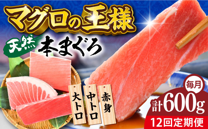 【全12回定期便】天然 本まぐろ 大トロ・中トロ・赤身（約200ｇ×3柵）約600ｇ 【横須賀商工会議所 おもてなしギフト事務局（本まぐろ直売所 横須賀本店）】 [AKAK076]