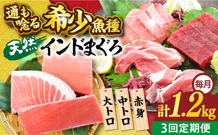 【全3回定期便】天然 まぐろ 大トロ・中トロ・赤身（約200ｇ×6柵）約1200ｇ【横須賀商工会議所 おもてなしギフト事務局（本まぐろ直売所 横須賀本店）】 [AKAK083]