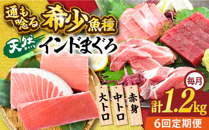 【全6回定期便】天然 まぐろ 大トロ・中トロ・赤身（約200ｇ×6柵）約1200ｇ【横須賀商工会議所 おもてなしギフト事務局（本まぐろ直売所 横須賀本店）】 [AKAK084]