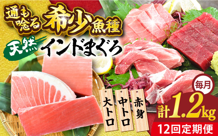 【全12回定期便】天然 まぐろ 大トロ・中トロ・赤身（約200ｇ×6柵）約1200ｇ【横須賀商工会議所 おもてなしギフト事務局（本まぐろ直売所 横須賀本店）】 [AKAK085]