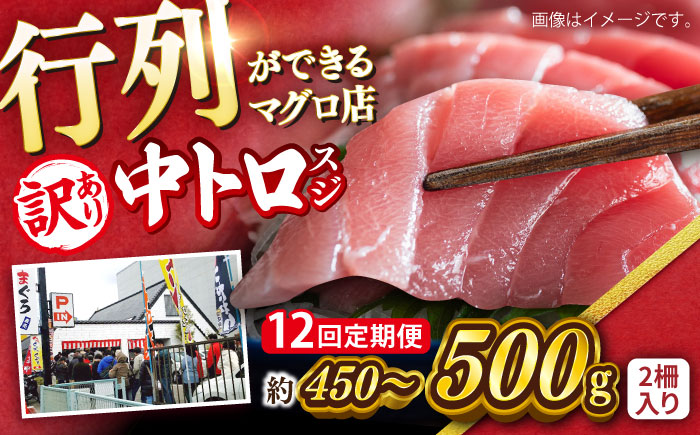【全12回定期便】【訳あり】天然 本まぐろ 中トロ（約450～500g（2柵入り））【横須賀商工会議所 おもてなしギフト事務局（本まぐろ直売所 横須賀本店）】 [AKAK089]