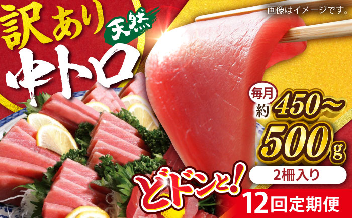 【全12回定期便】【訳あり】天然 まぐろ 中トロ メバチ （約450～500g（2柵入り）） 【横須賀商工会議所 おもてなしギフト事務局（本まぐろ直売所 横須賀本店）】 [AKAK093]