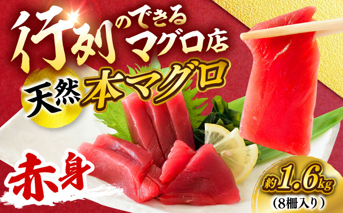 天然 本まぐろ 赤身 計約1.6kg （8柵入り）【横須賀商工会議所 おもてなしギフト事務局（本まぐろ直売所 横須賀本店）】 [AKAK099]